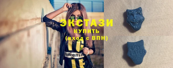 стаф Осинники