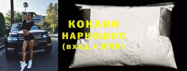 стаф Осинники