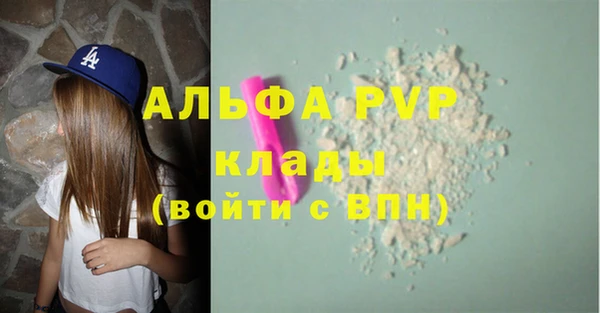 стаф Осинники
