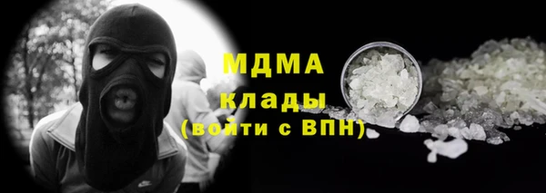 стаф Осинники