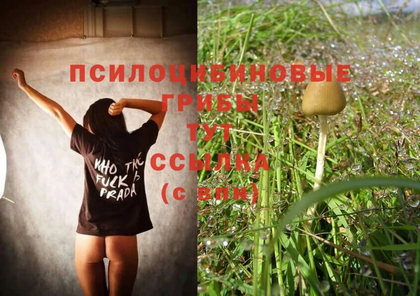 кокс Осташков