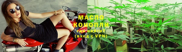 сатива Белокуриха