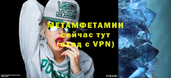 стаф Осинники