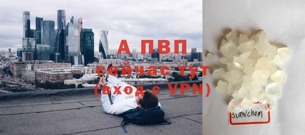 стаф Осинники