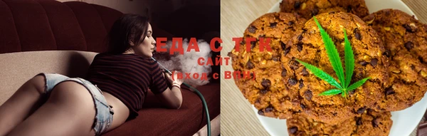 стаф Осинники